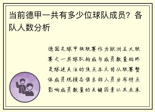 当前德甲一共有多少位球队成员？各队人数分析